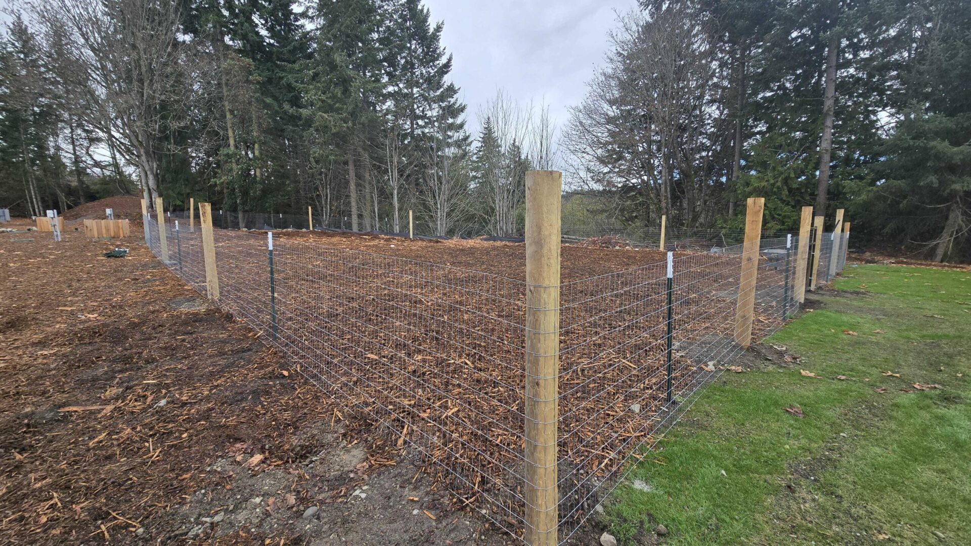 rv-at-olympic-wide-shot-dog-park